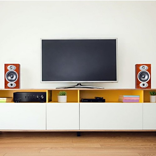 ��� ������� ������ ���� POLK AUDIO ��� RTIA1