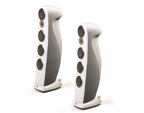 ��� ������� ������� ���� MOREL ����� ��� SORPAN