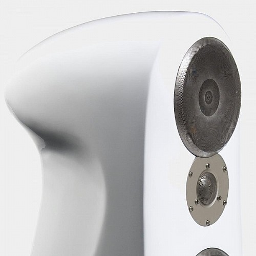 ��� ������� ������� ���� MOREL ����� ��� SORPAN