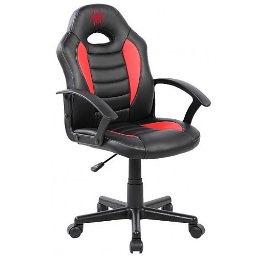 ���� ������� ���� SPIDER ������ ��� JUNIOR