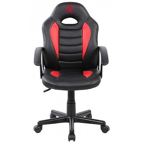 ���� ������� ���� SPIDER ������ ��� JUNIOR