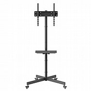 ���� ���� ������ �� "55 LUMI ���� ��� T1041T