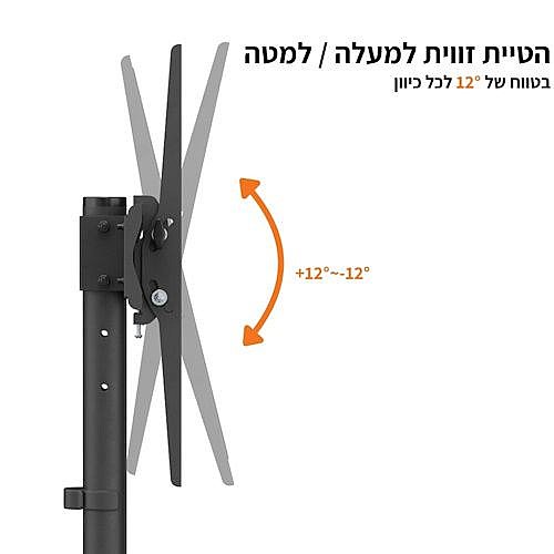 ���� ���� ������ �� "55 LUMI ���� ��� T1041T