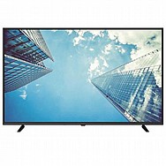 ��� ��������  "55 ���� NORMANDE ������� ��� TV55SP