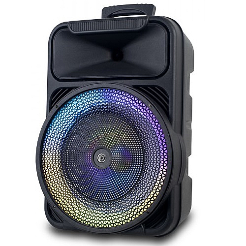 ������� ������ ���� PURE ACOUSTICS ���� �������� ��� V12250