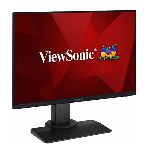��� ������� "24 ���� VIEWSONIC ��� ����� ��� XG2431