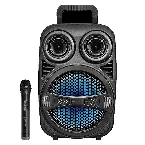 ������� ������ ����� ���� �������� ���� PURE ACOUSTICS ��� ZX-80