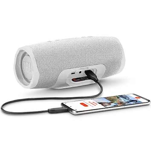 ����� ������ ���� ���� JBL ��� CHARGE 4
