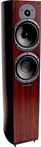 ��� ����� DIAMOND 9.5 Wharfedale