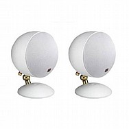 ��� ����� �������� ���� MOREL ��� SP1 ��� ����� �������� ���� MOREL ��� SP1