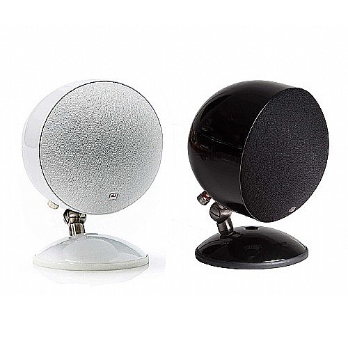 ��� ����� �������� ���� MOREL ��� SP1